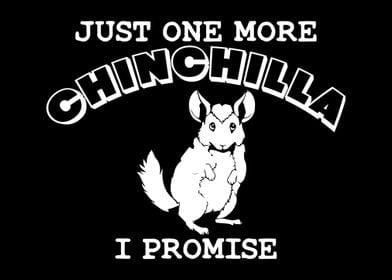 Chinchilla Joke Saying