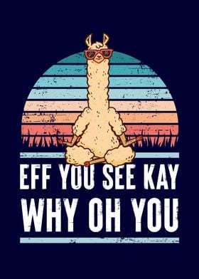 EFF You See Kay Why Llama