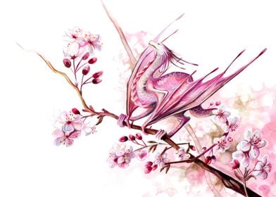 Sakura Blossom Dragon