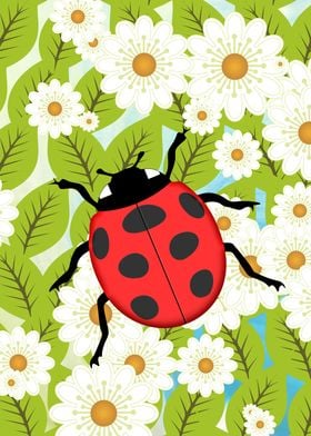 Ladybug