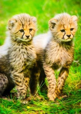 Twin Cheetahs