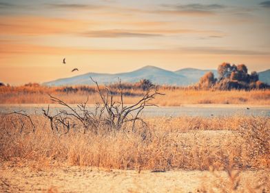 Salt lake Greek island Kos
