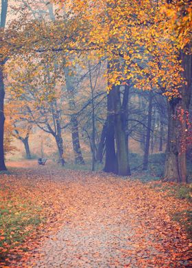 Autumn alley among trees