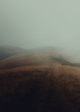 Misty Path