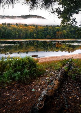 Misty Autumn Lake