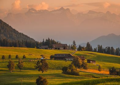 Swiss Farm Sunset