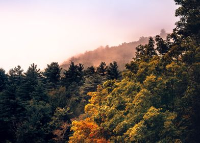 Misty Autumn Morning