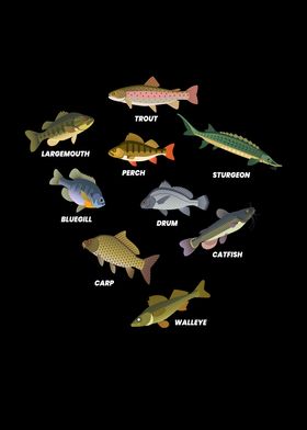 Types of fish