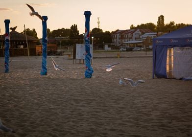 Beach at sunset