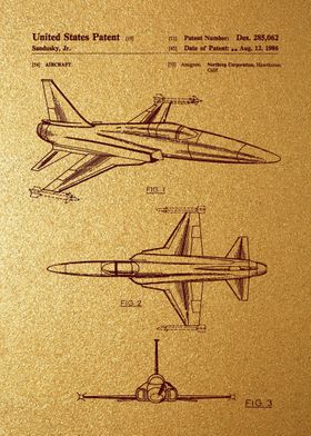 19 Northrop F20 Tigersha