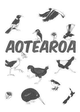 Aotearoa NZ Birds