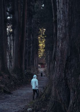 Nagano Forest