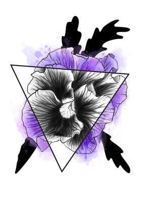 Pansy Prism