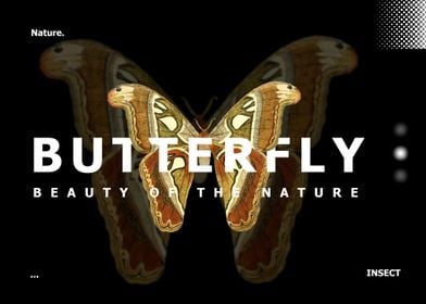 Text Art Butterfly