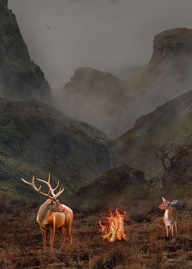 Travel with wild deer in a