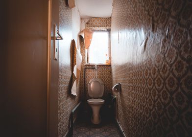 The dilapidated toilet