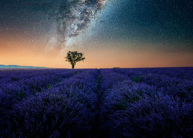 Milky Way In Provence