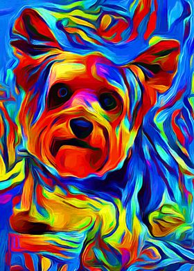 Yorkshire Terrier Colorful