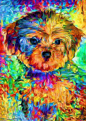 Yorkshire Terrier Fine Art