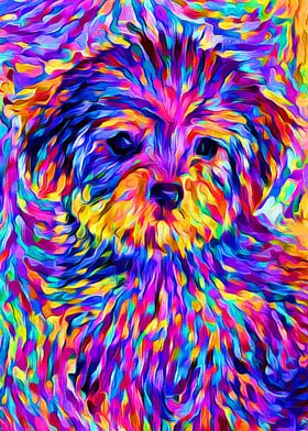 Yorkshire Terrier Impasto