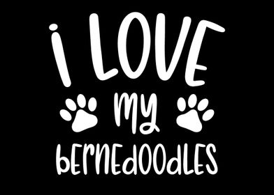 Love my Bernedoodles