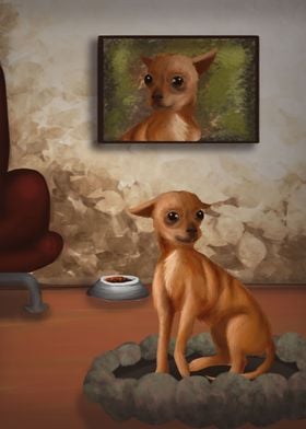  Chihuahua Dog 