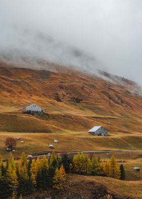 Foggy Swiss Landscape