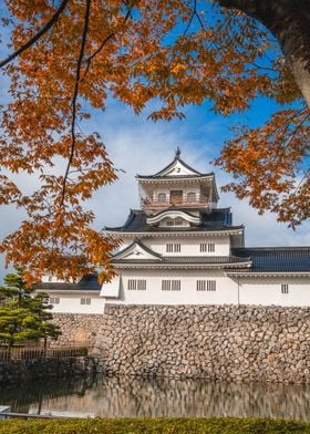 Toyama Castle Fall Japan
