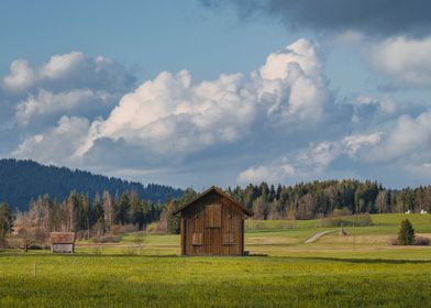 Meadow in Switzerland