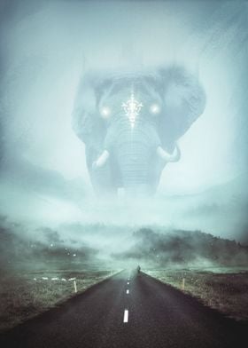 Fog Elephant