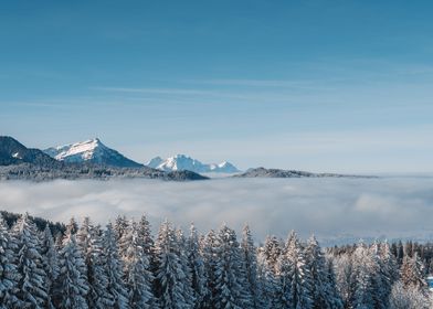 Sea of Fog Switzerland