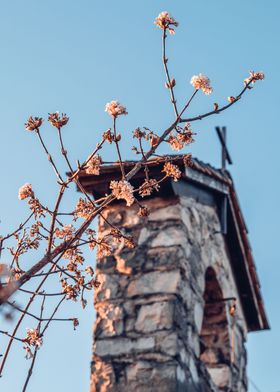 Cherry Blossom Chapel