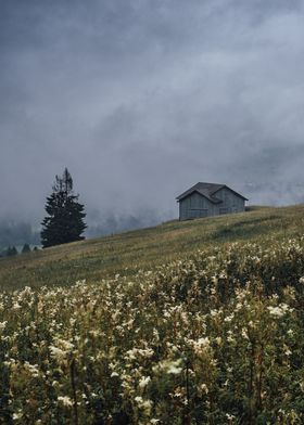 Foggy Mountain Hut