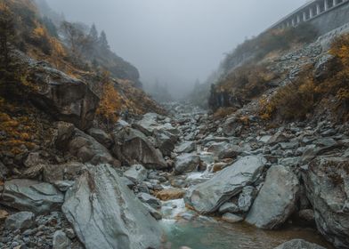 Foggy Swiss Valley
