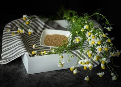 Chamomile for healthy tea