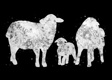 Sheep Family