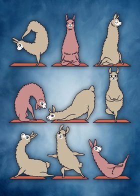 47 Yoga animal 47