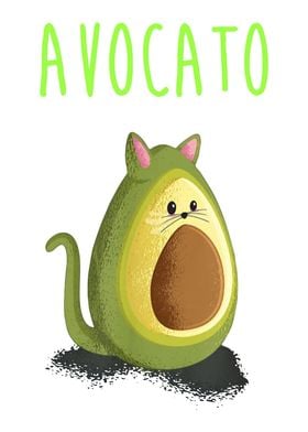 avocato