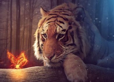 Magical Tiger