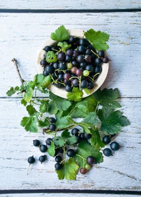 Fresh black currants