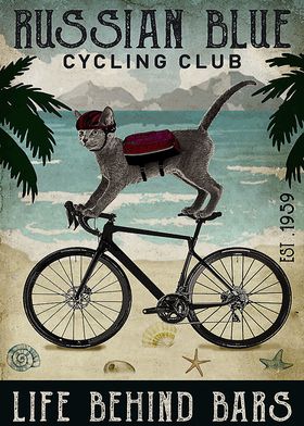 Russian Blue Cat Cycling 