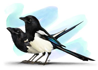 Two For Joy Magpies