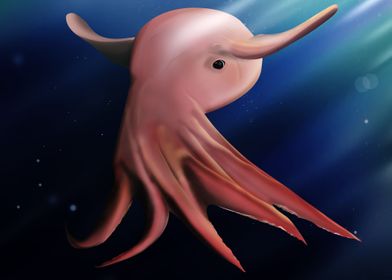 Dumbo octopus in ocean