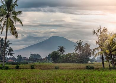 Bali Landscape