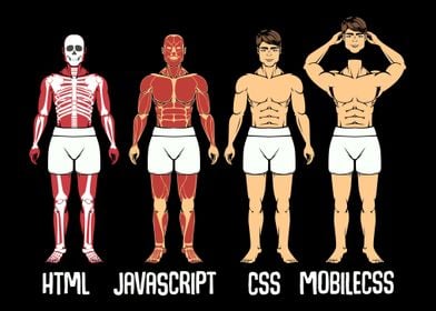 Computer Cloud Evolution