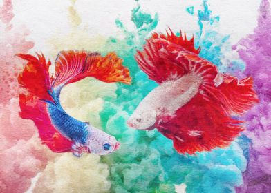 Multicolor fish