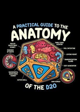 Anatomy of the D20