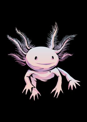 Axolotl