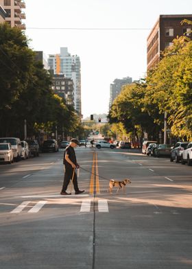 Streets of Seattle