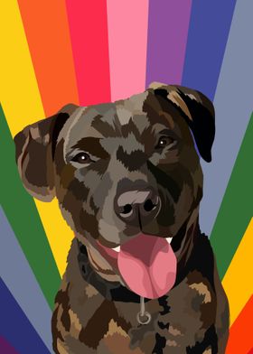 pet dog rainbow